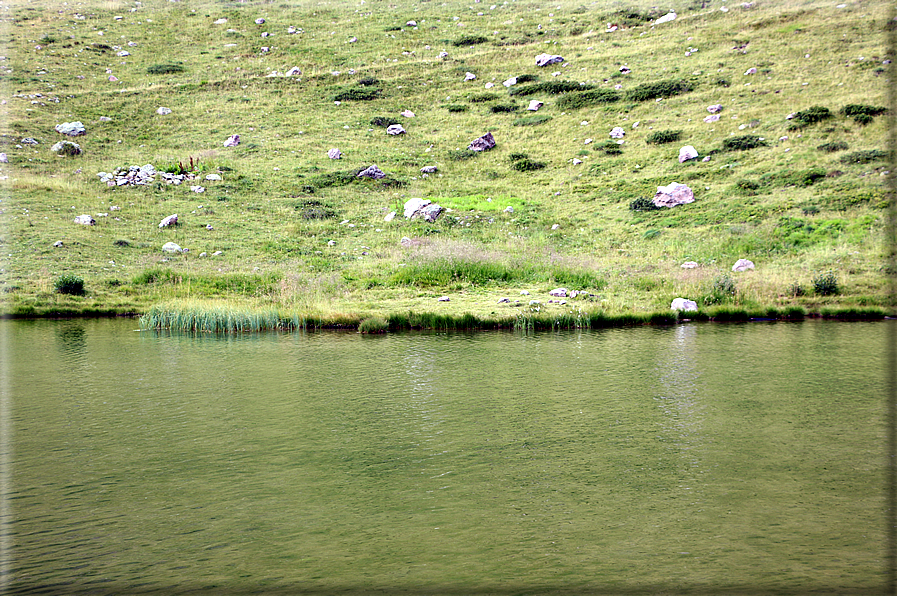 foto Lago di Montalon